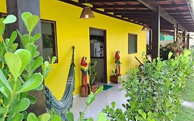 Casa Toque Das Bromelias
